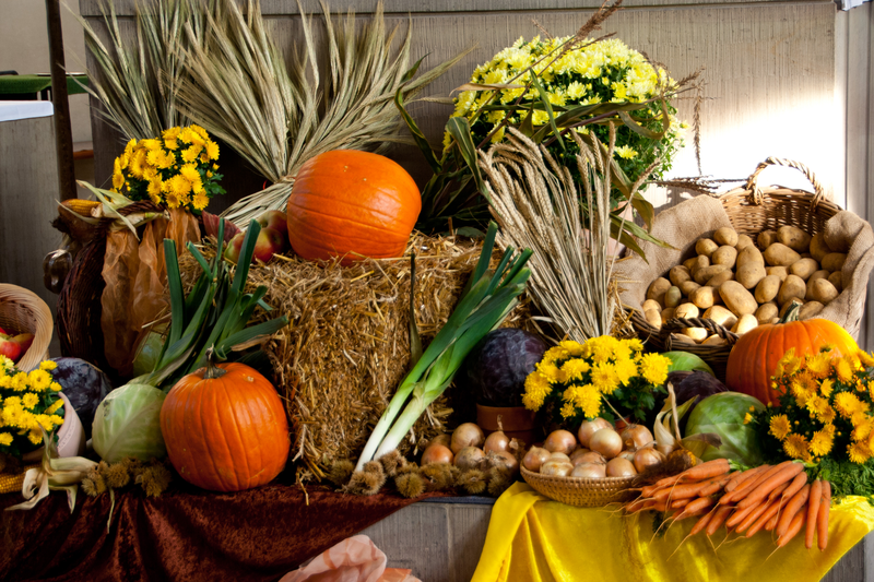 Erntedank c_EB Köln, Gerd Krämer