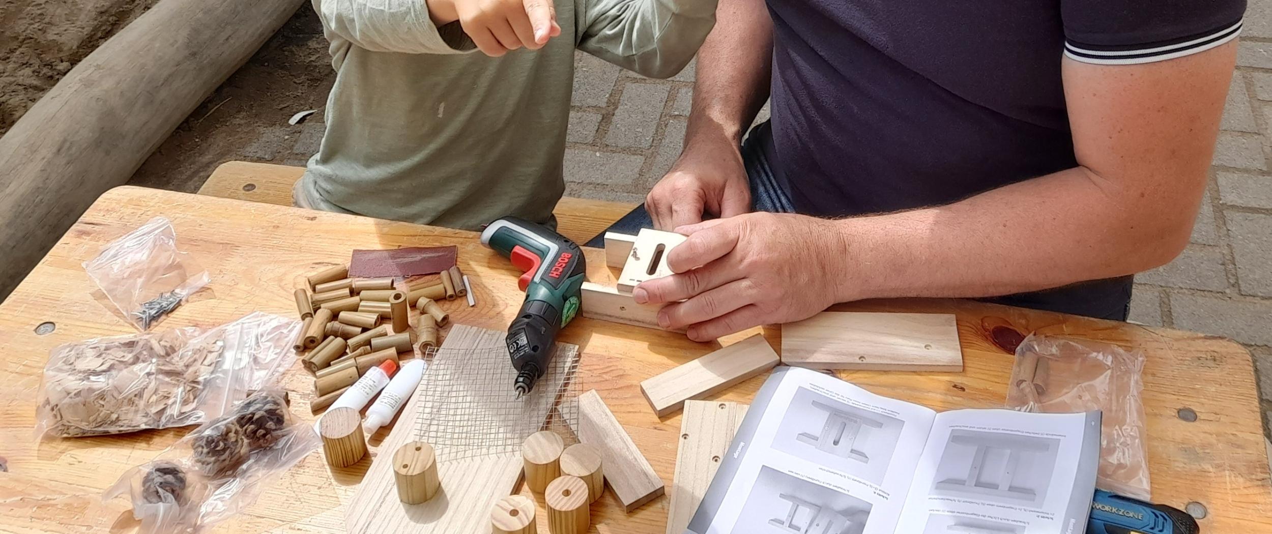 Wir bauen ein Insektenhotel