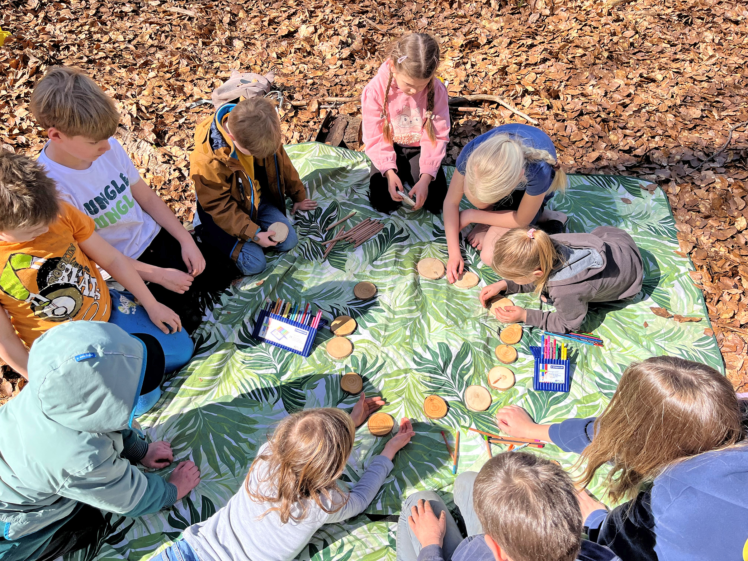 Waldtage im Sommer_Teresa Francis und Susanne Hesse
