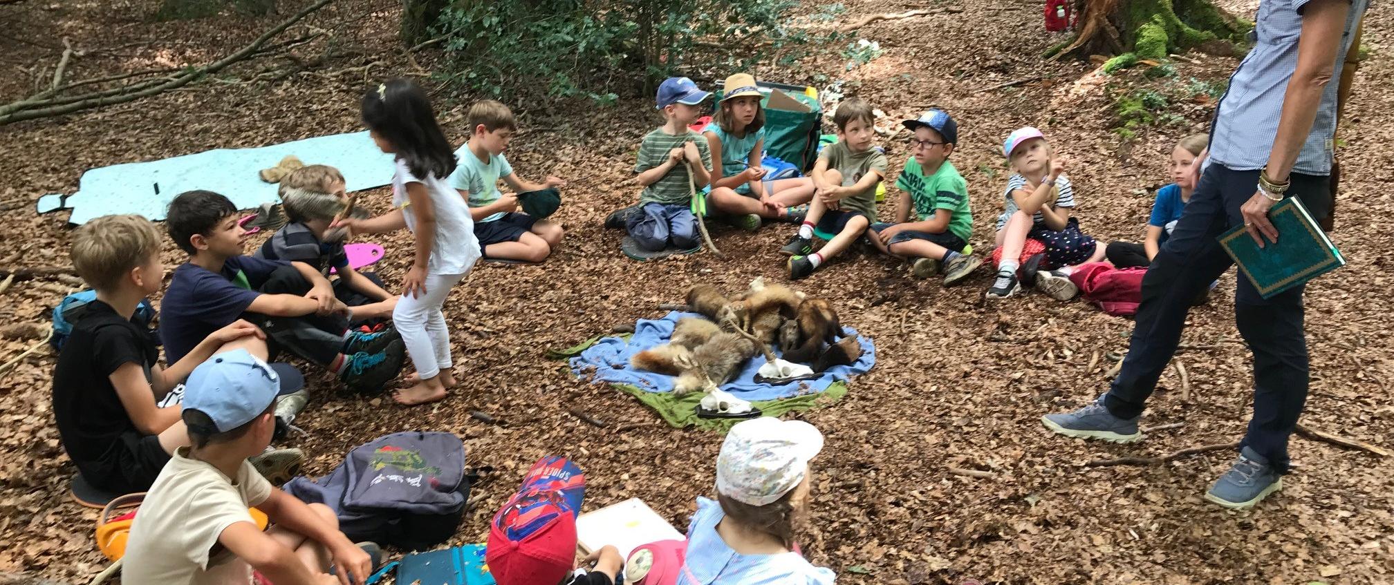 Waldtage: Welche Tiere leben hier?