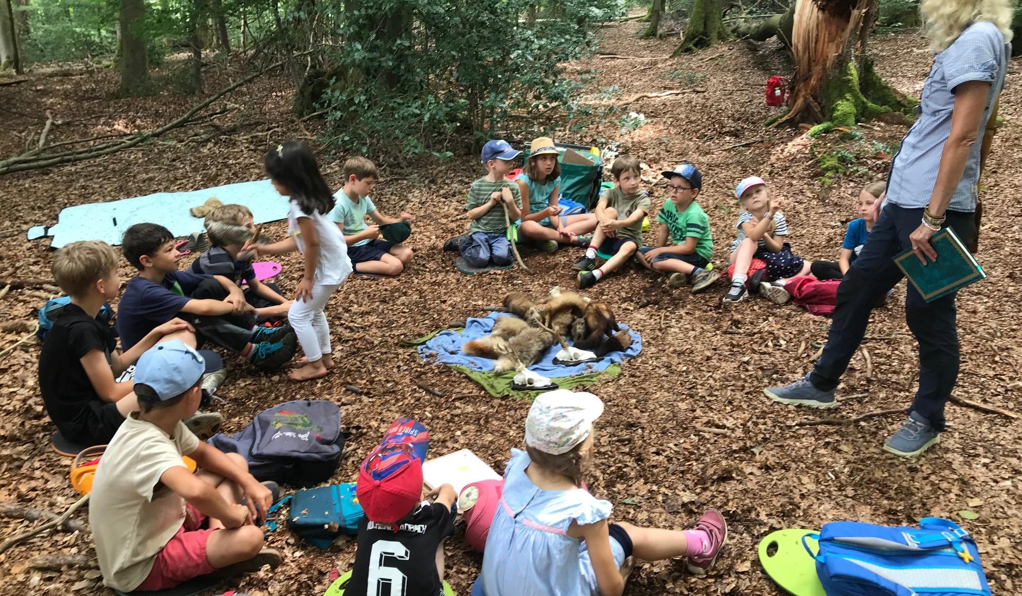 Waldtage: Welche Tiere leben hier?