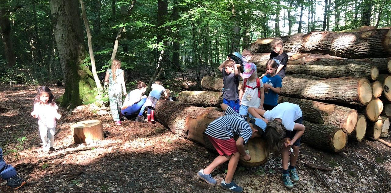 Waldtage mit Teresa und Susi Holztelefon