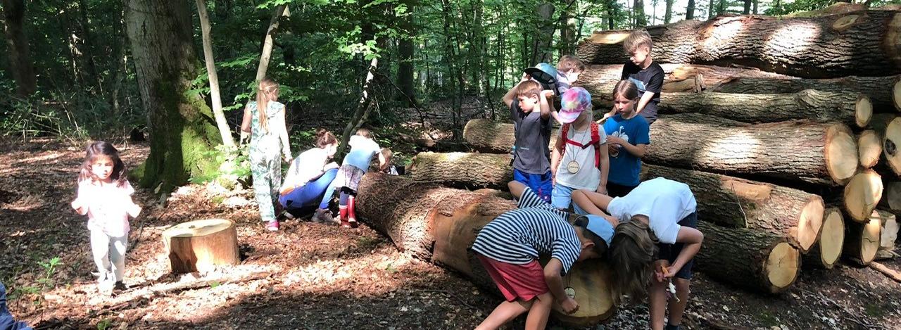Waldtage mit Teresa und Susi Holztelefon