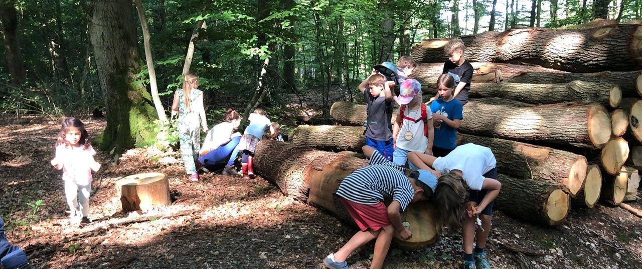 Waldtage mit Teresa und Susi Holztelefon