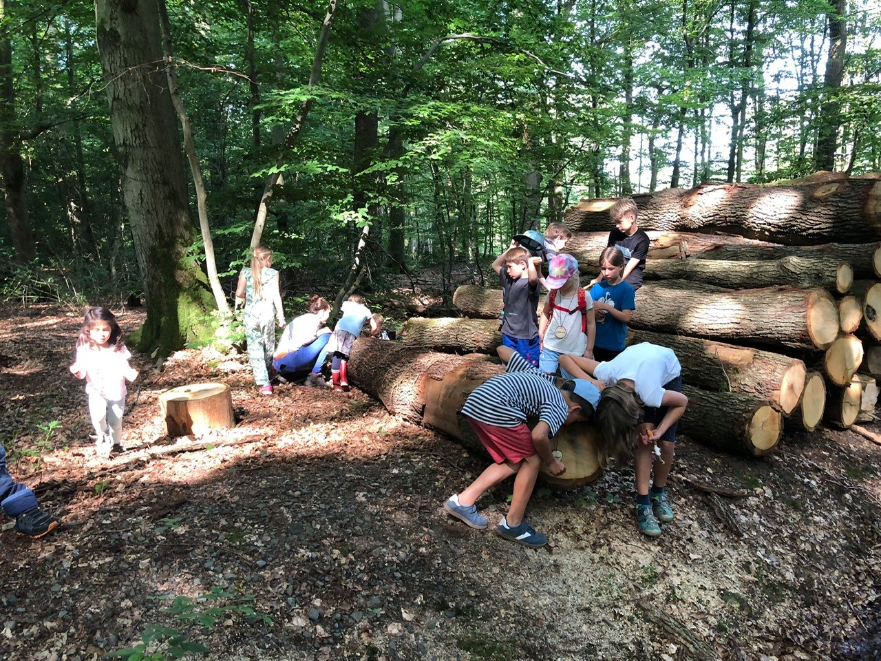 Waldtage mit Teresa und Susi Holztelefon